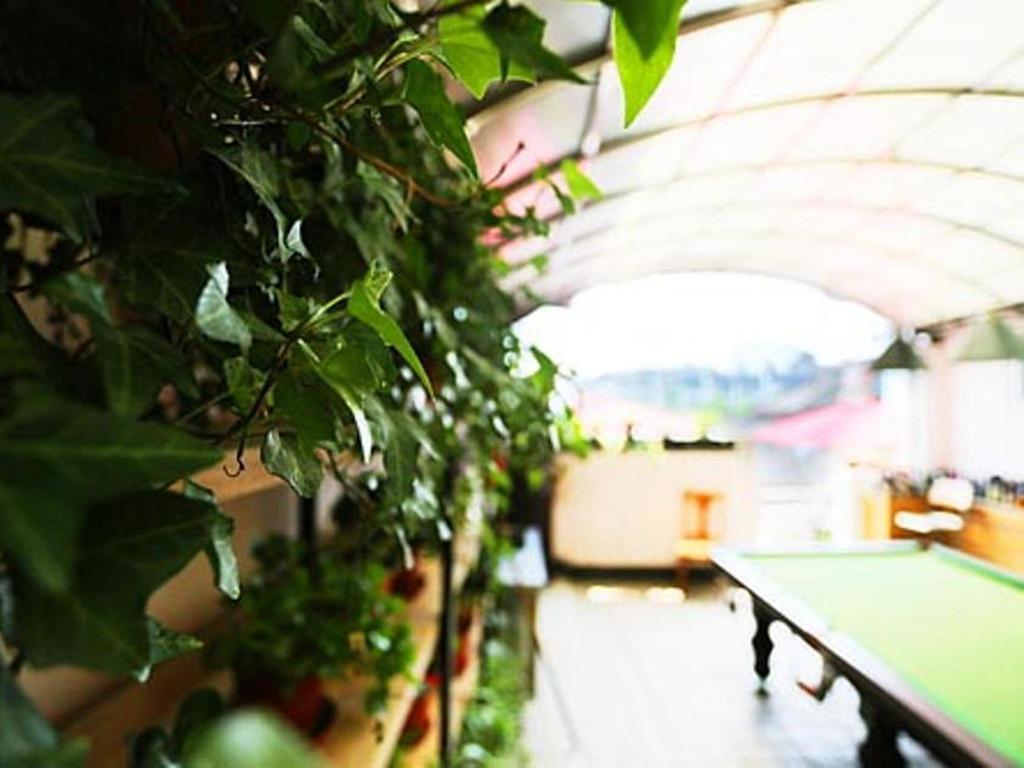 Nanjing Sunflower International Youth Hostel Exteriér fotografie